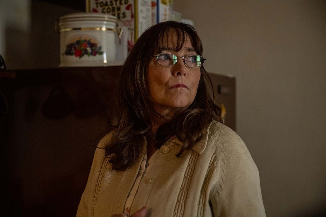 La apariencia de las cosas : Foto Karen Allen