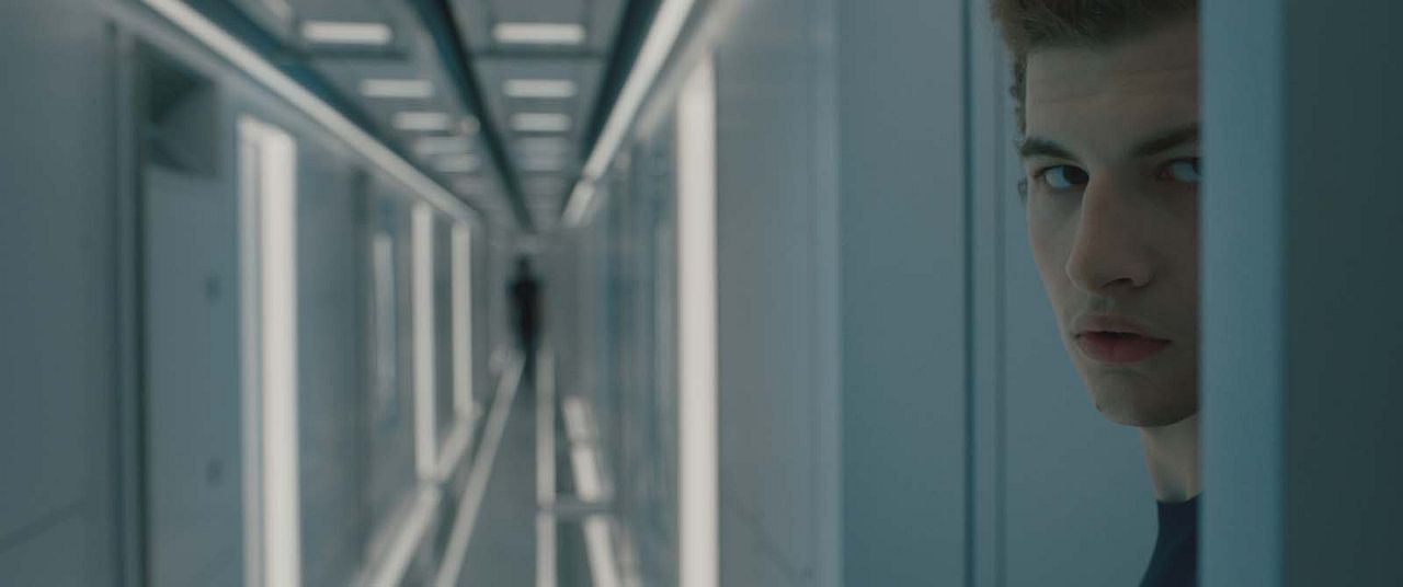 Instintos Ocultos : Foto Tye Sheridan