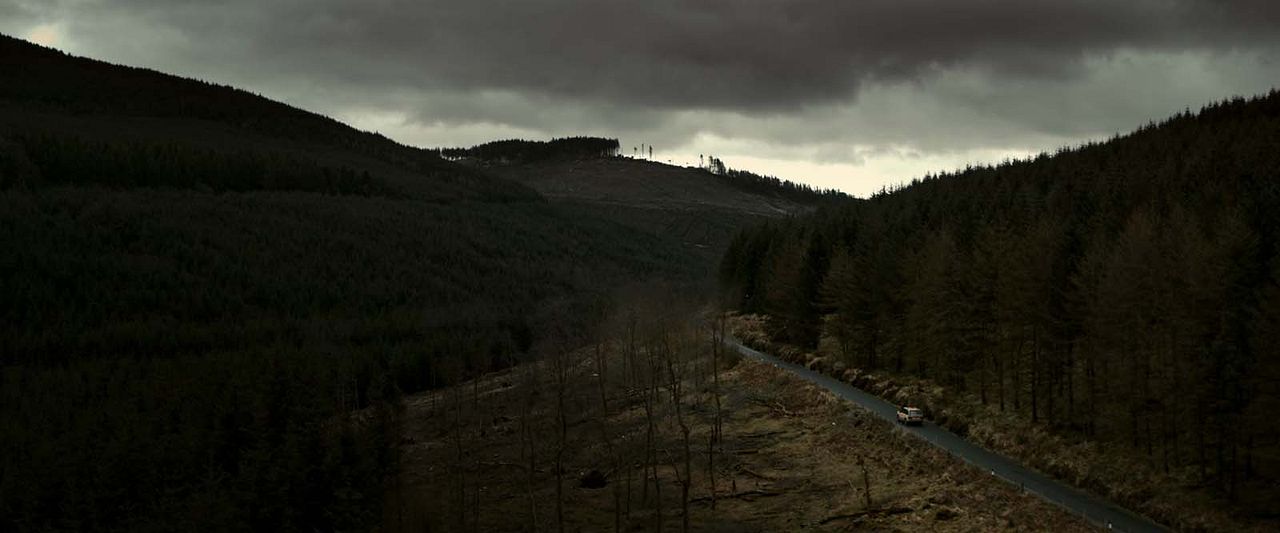 El bosque maldito : Foto