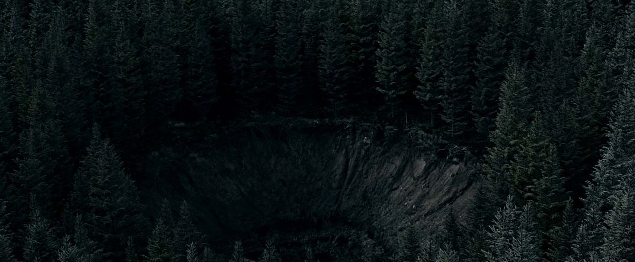 El bosque maldito : Foto