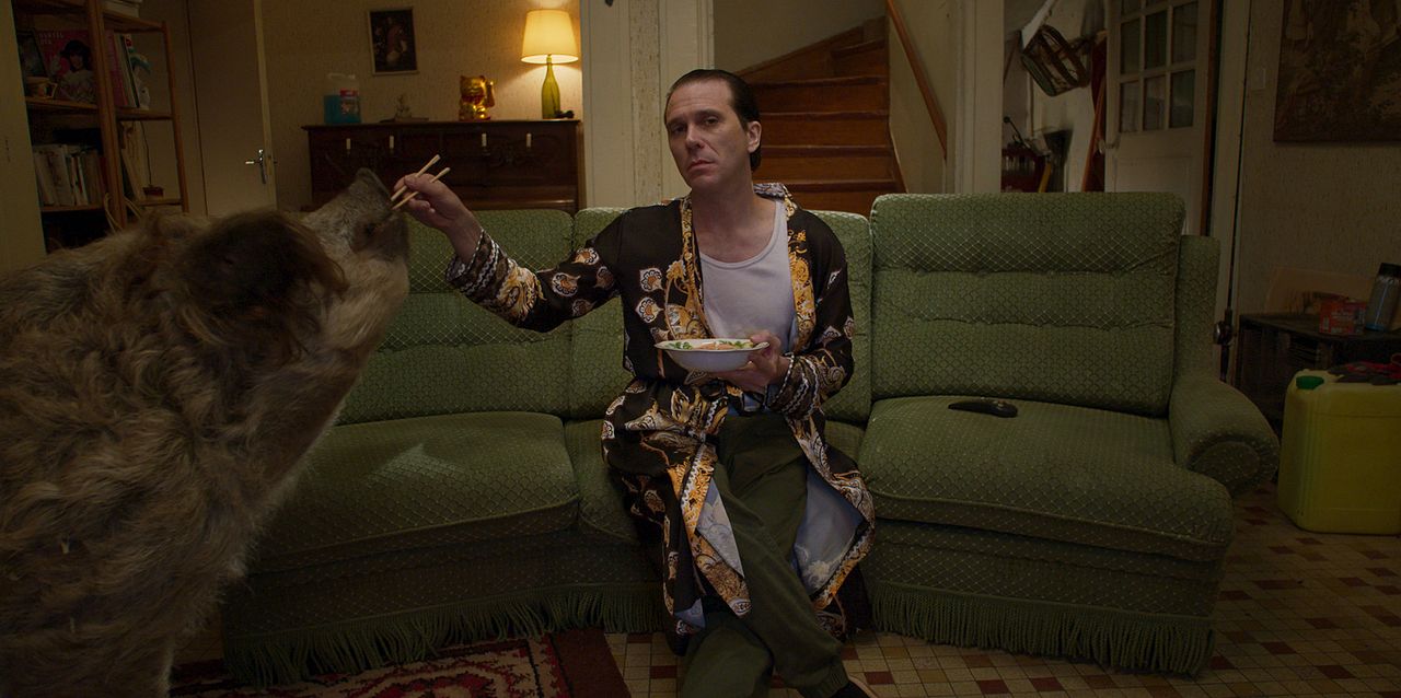 Naranjas sangrientas : Foto