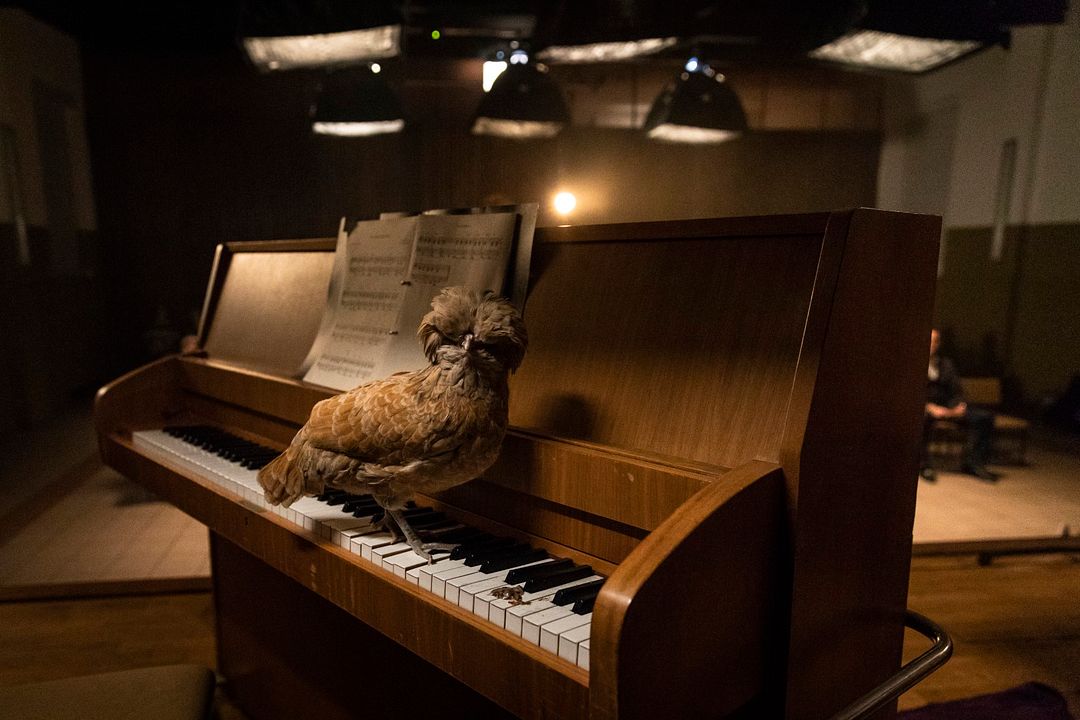 Mission Ulja Funk : Foto