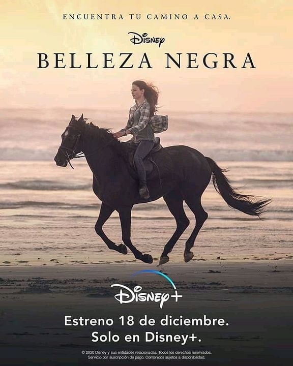 Belleza negra : Póster