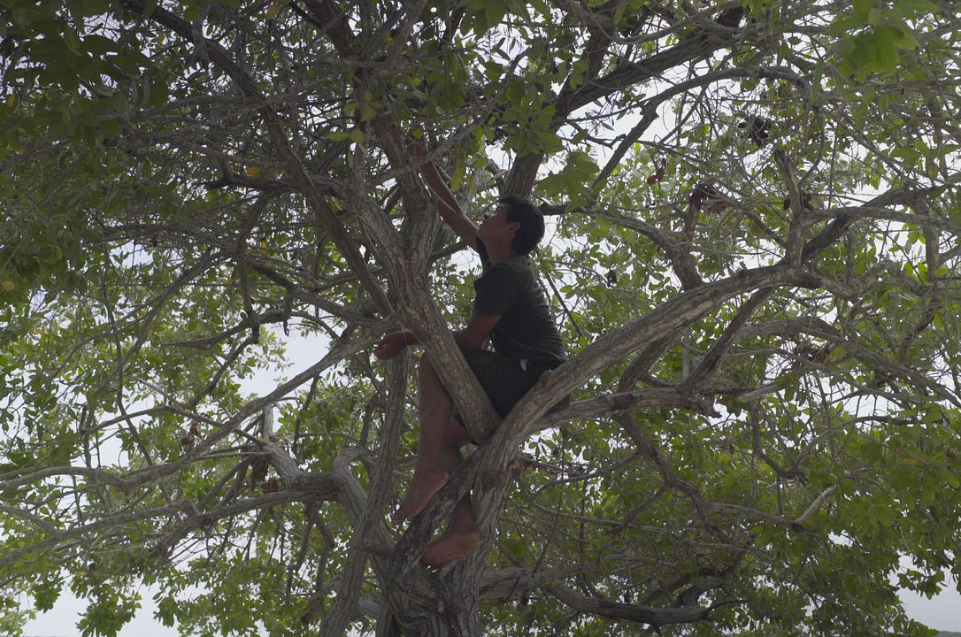 Cosas que no hacemos : Foto