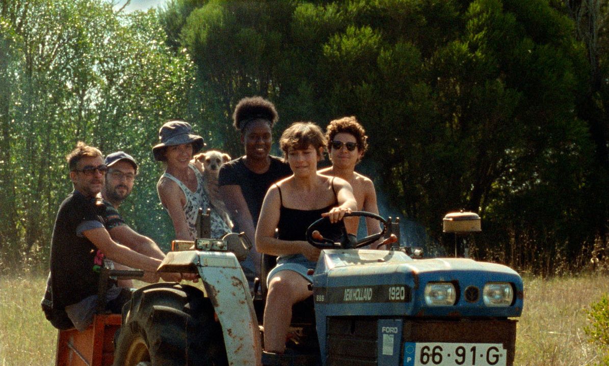 Foto Crista Alfaiate