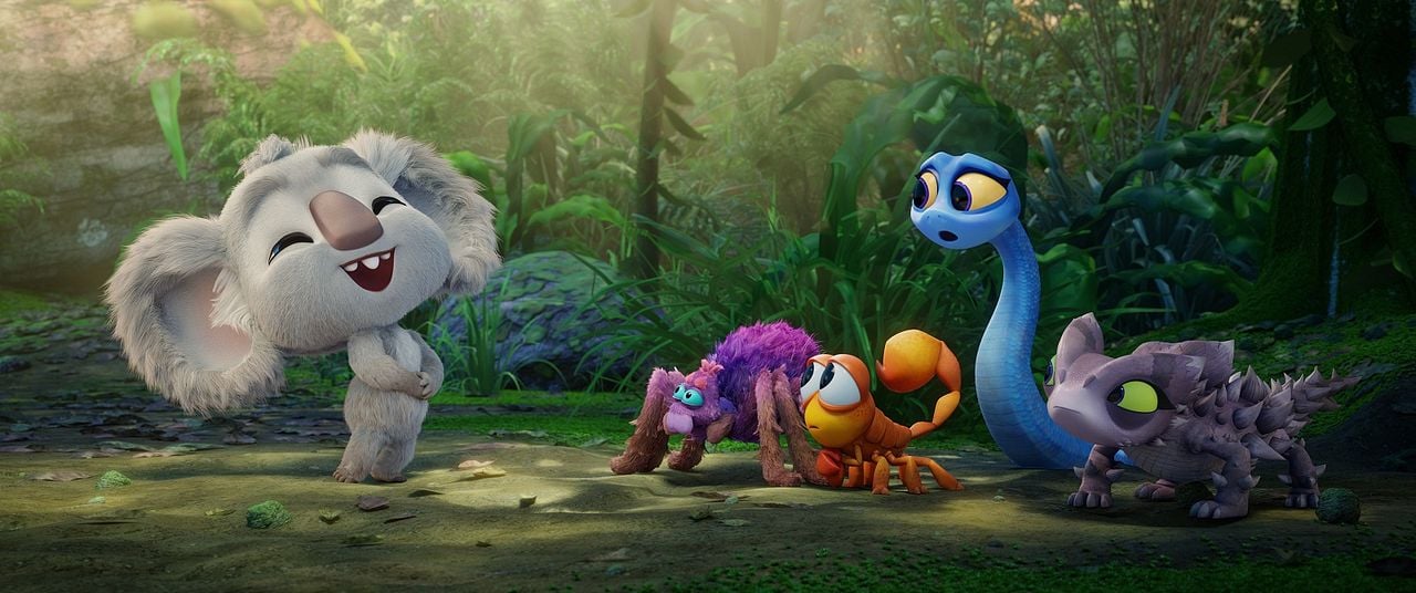 Animalia en Australia : Foto