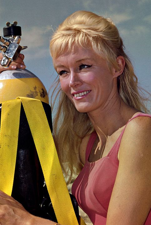 Jugando con tiburones : Foto