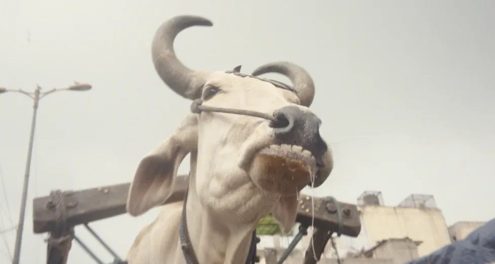 Invisible demons : Foto