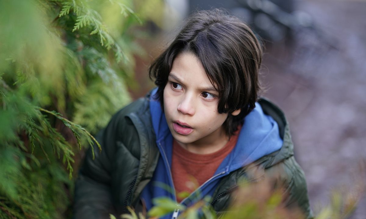 Póster Evan Whitten