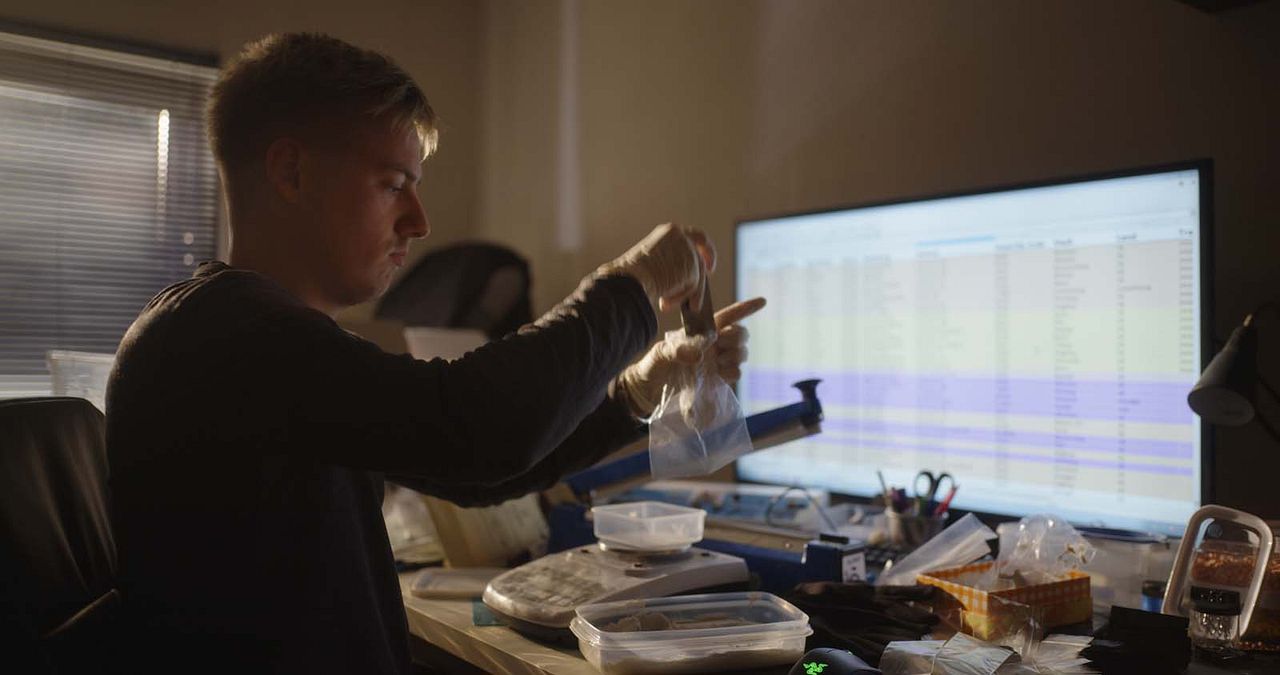 Shiny_Flakes: El cibernarco adolescente : Foto