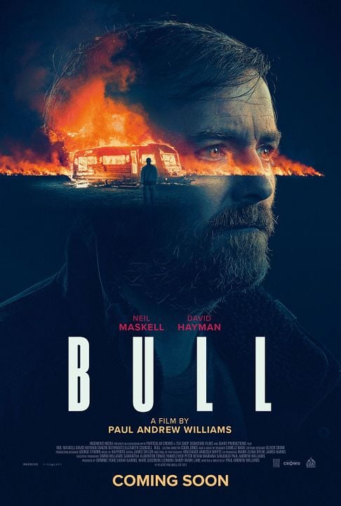 Bull : Póster