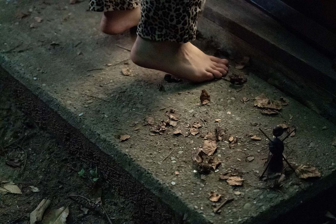 El Caso Hartung : Foto