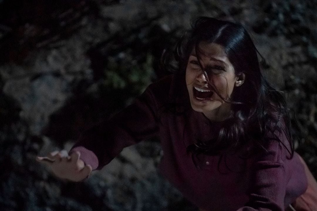 Intrusion : Foto Freida Pinto