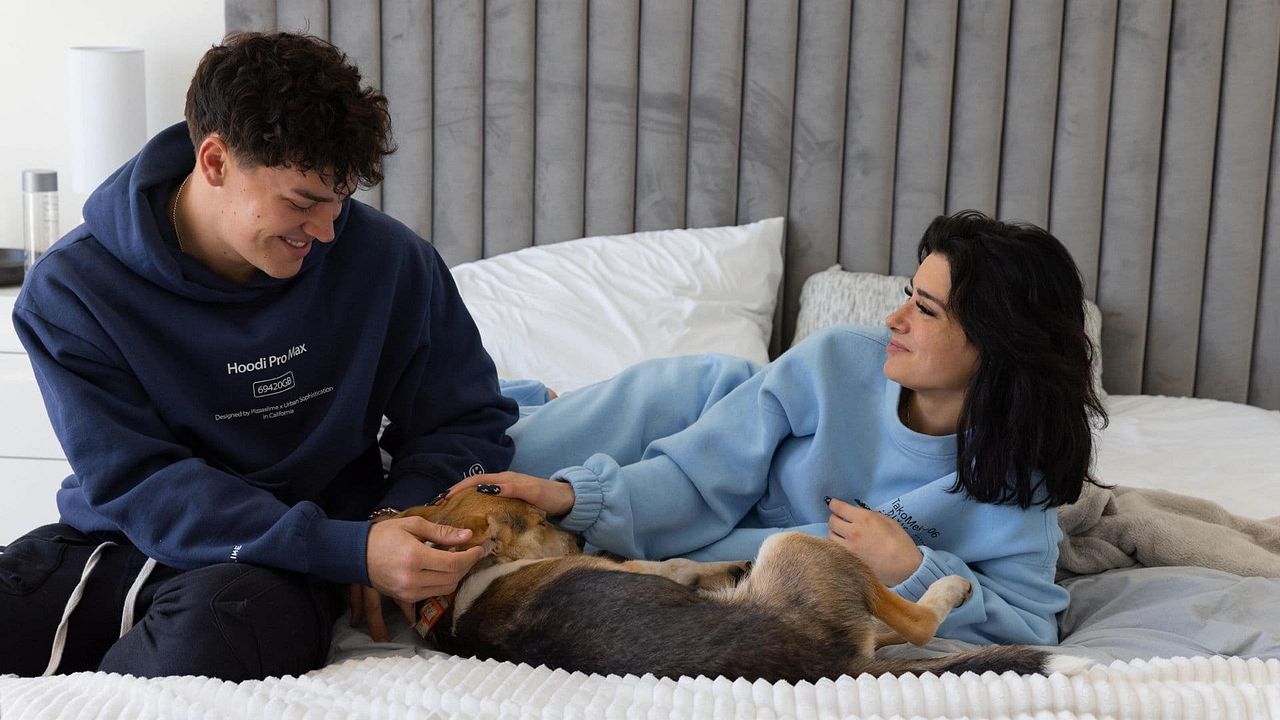 The D'Amelio Show : Póster