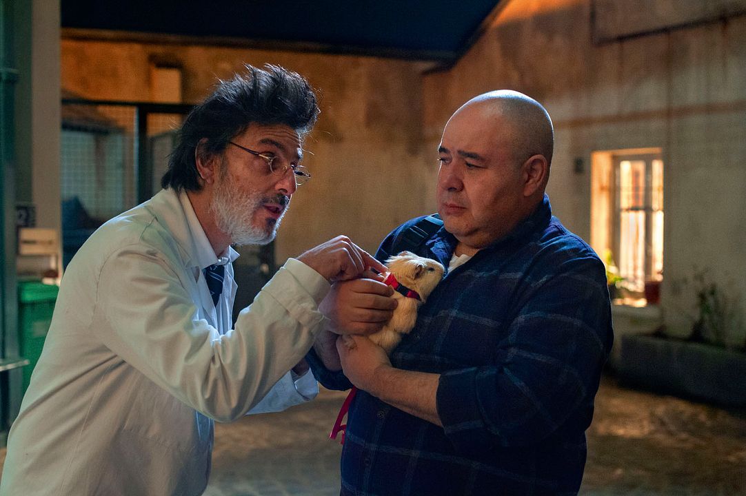 Calle de la humanidad, 8 : Foto Yvan Attal