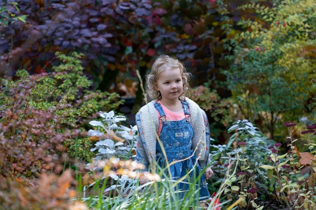 Las cosas por limpiar : Foto