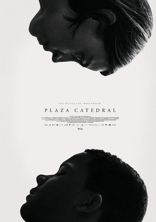 Plaza Catedral : Póster