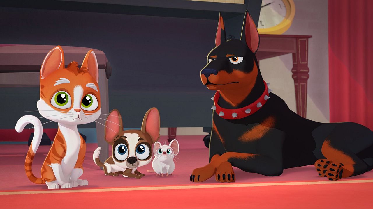 Under The Vines : Foto