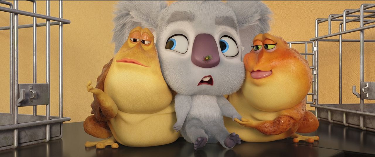 Animalia en Australia : Foto