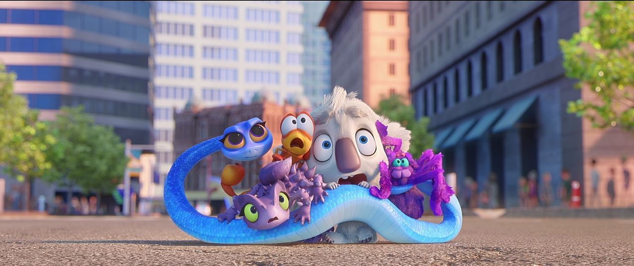 Animalia en Australia : Foto