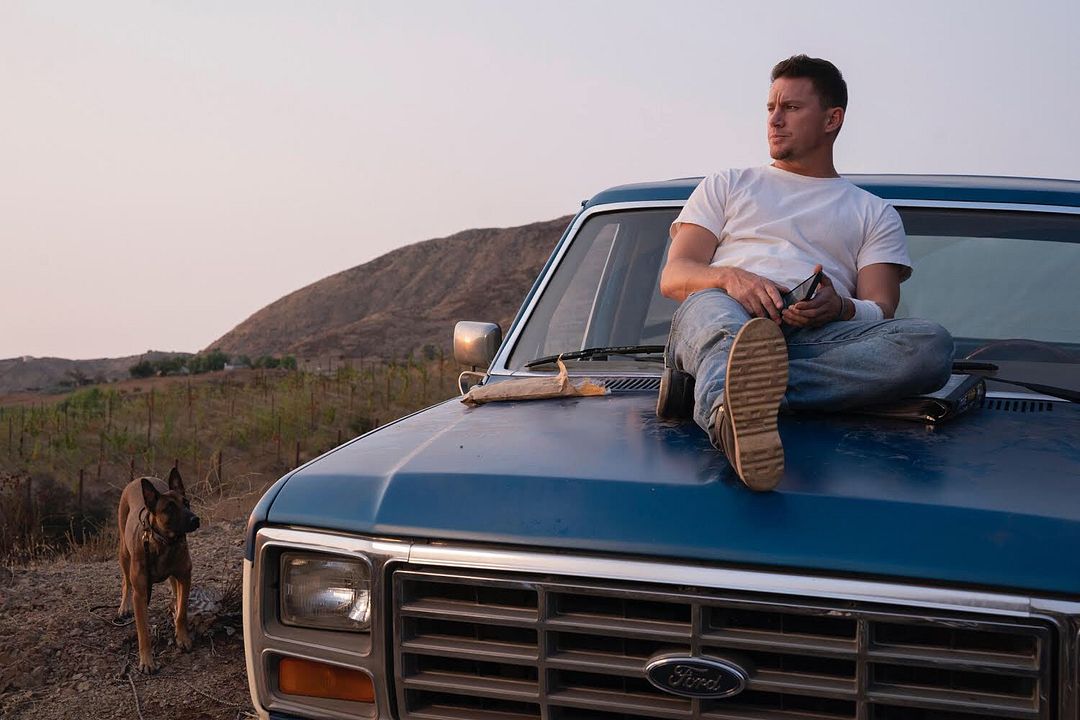 Dog: Un viaje salvaje : Foto Channing Tatum