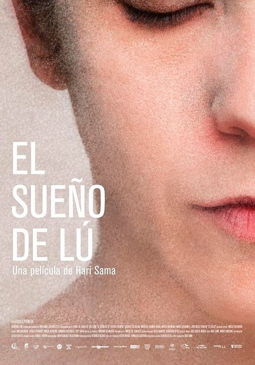 El sueño de Lu : Póster