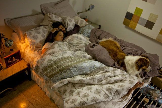 Arbusto sin perro : Foto