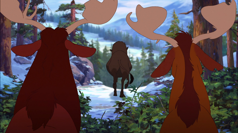 Tierra de osos 2 : Foto