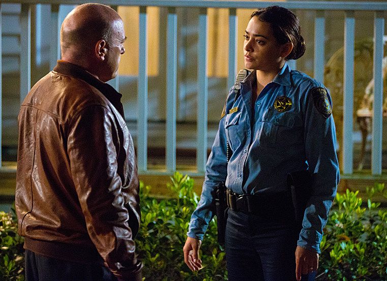 Bajo el domo : Foto Natalie Martinez, Dean Norris