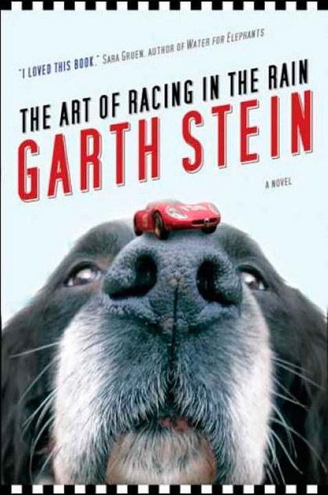 Mi amigo Enzo : Póster