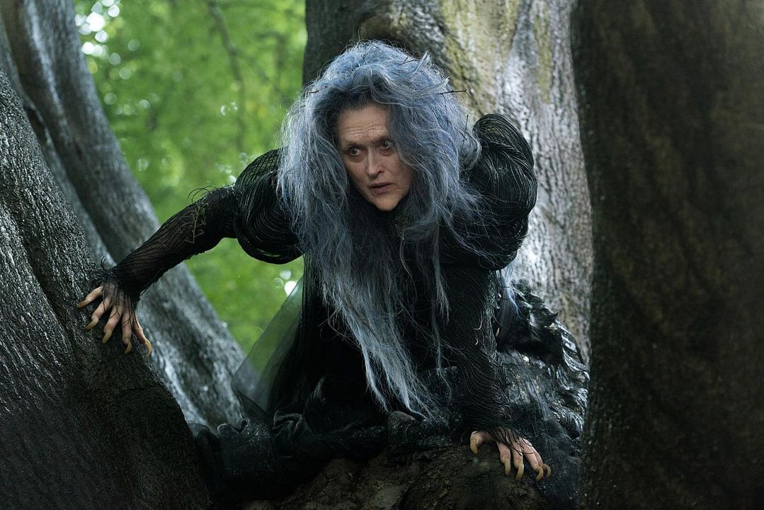 En el bosque : Foto Meryl Streep