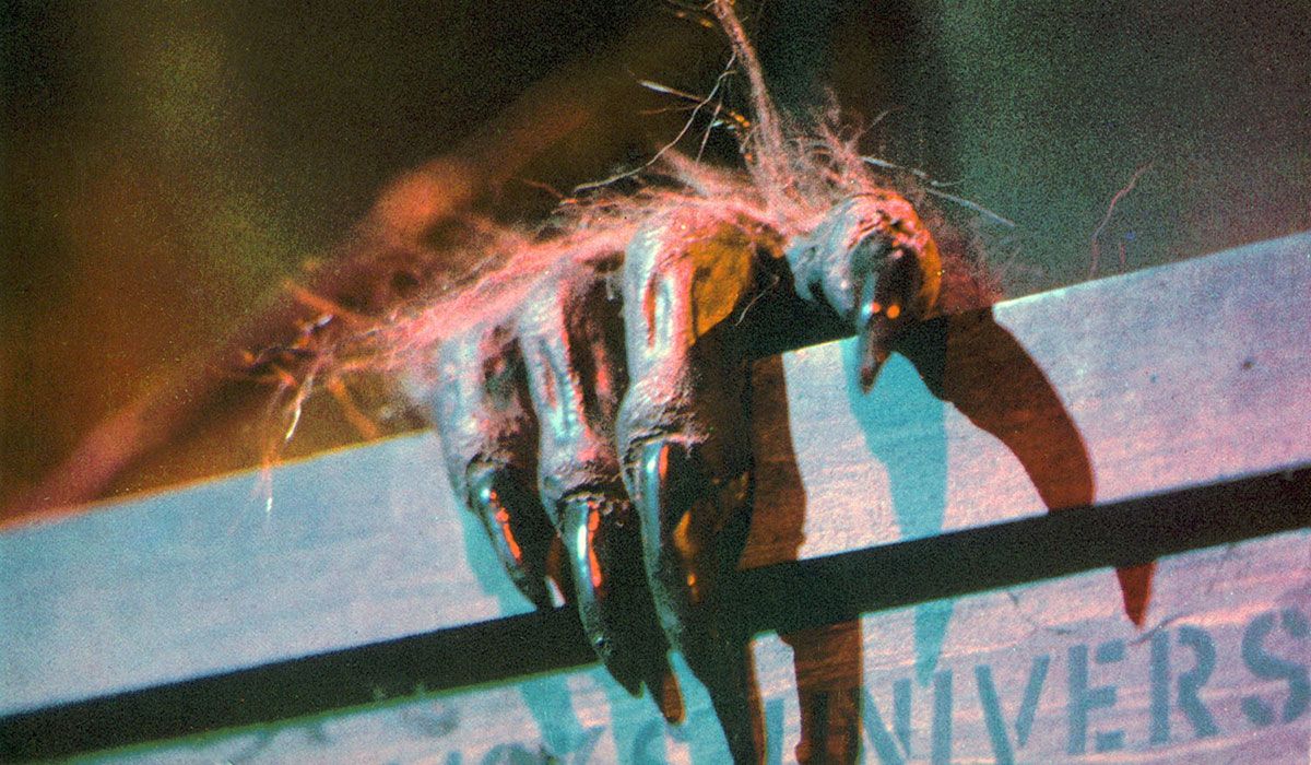 Macabras historias de terror : Foto