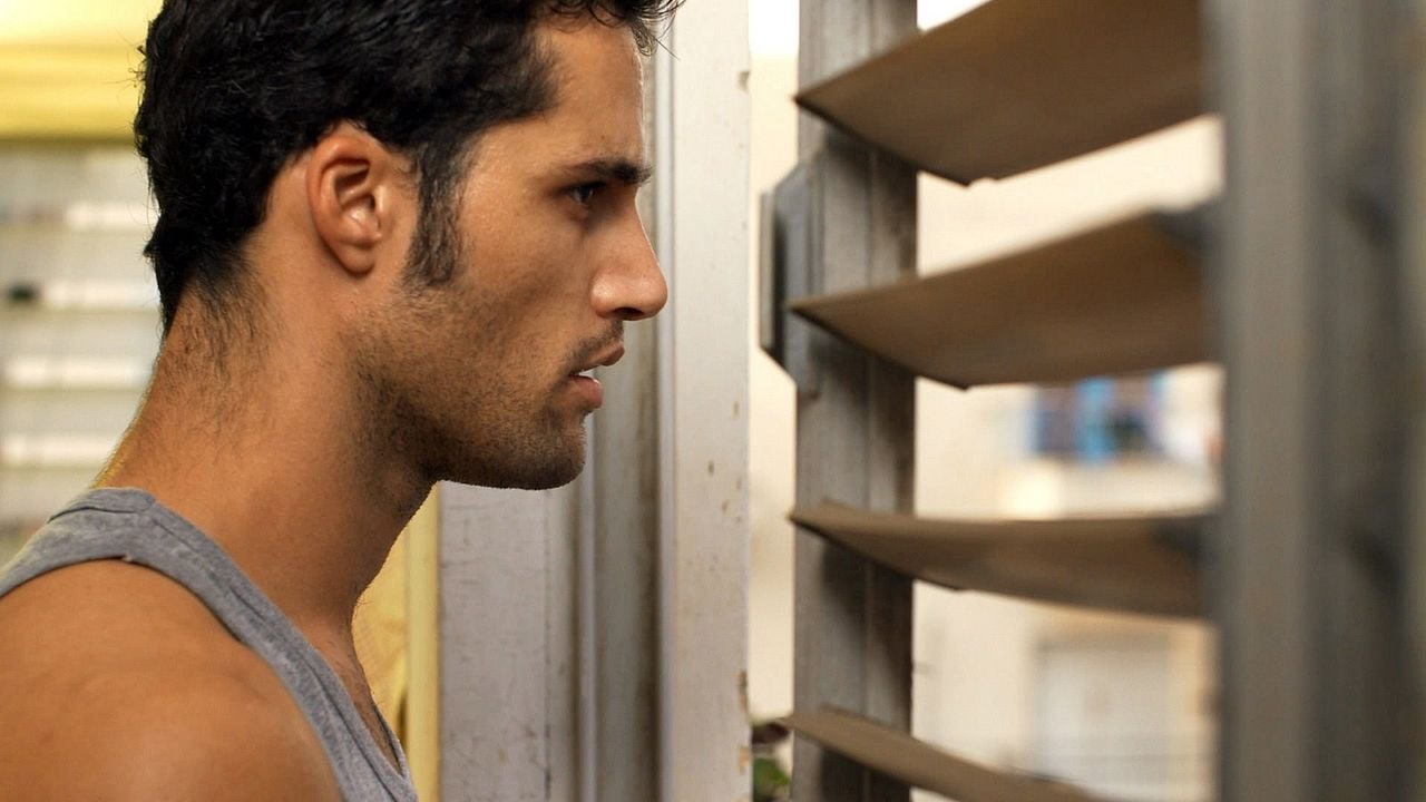 Caracoles en la lluvia : Foto