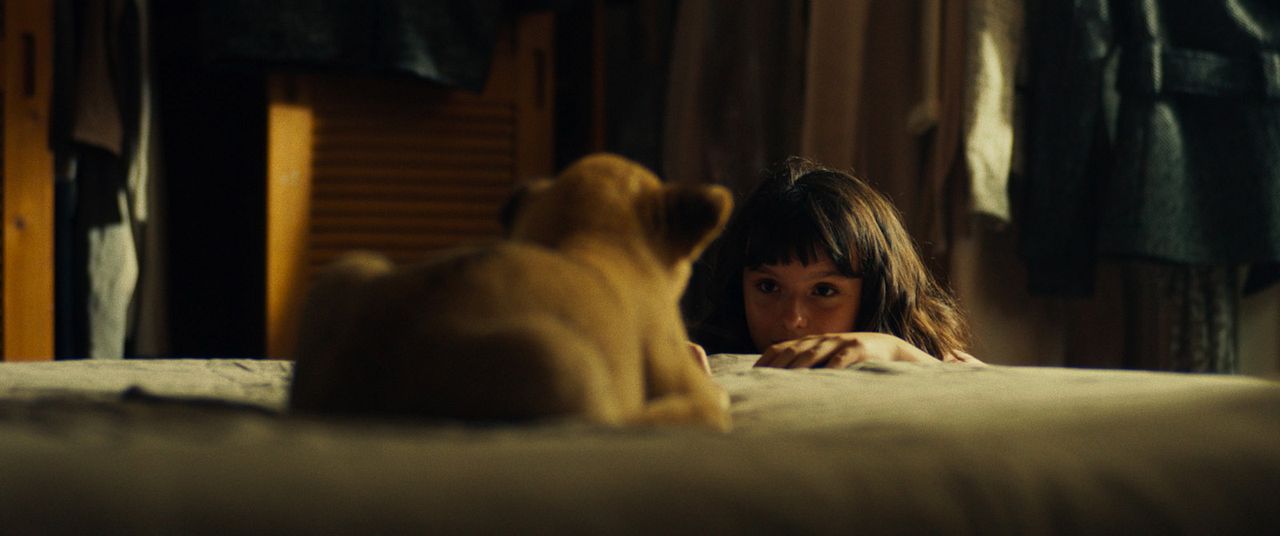 King: Regreso A Casa : Foto Lou Lambrecht