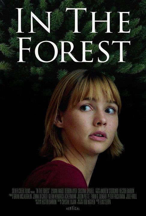 In The Forest : Póster