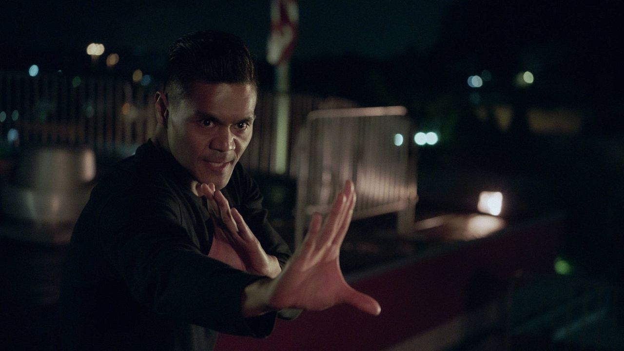 The Paper Tigers : Foto