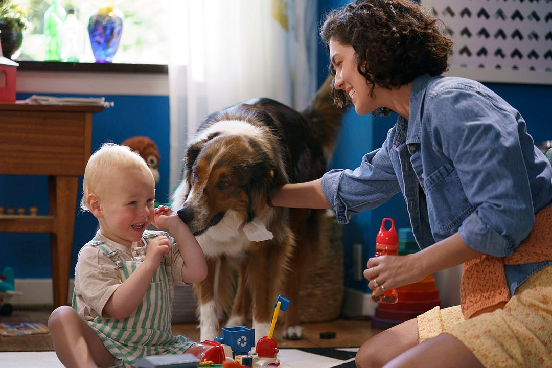 El rescate de Ruby : Foto