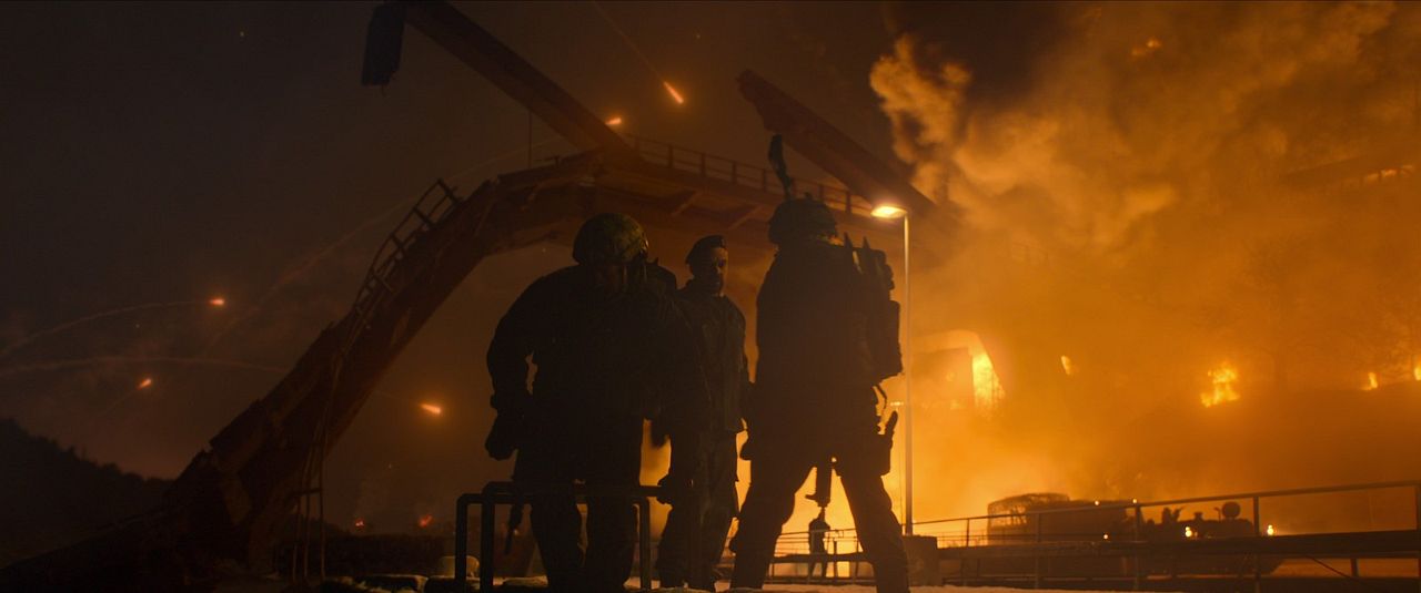 Cangrejo Negro : Foto