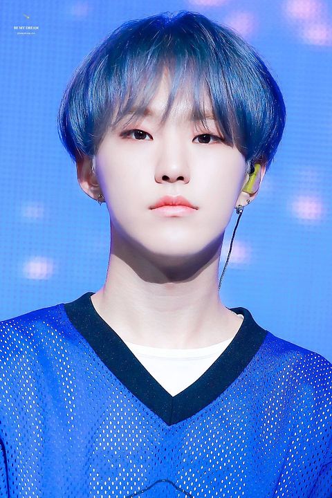 Póster HOSHI