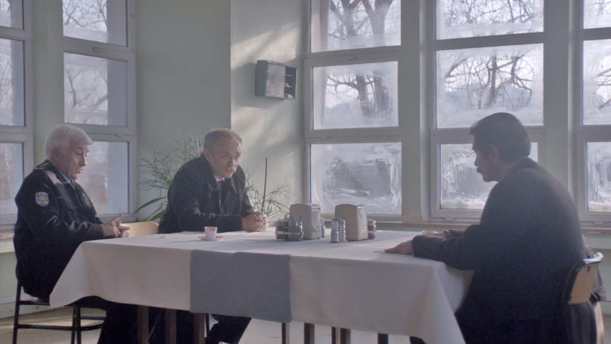 Anadolu Leoparı : Foto