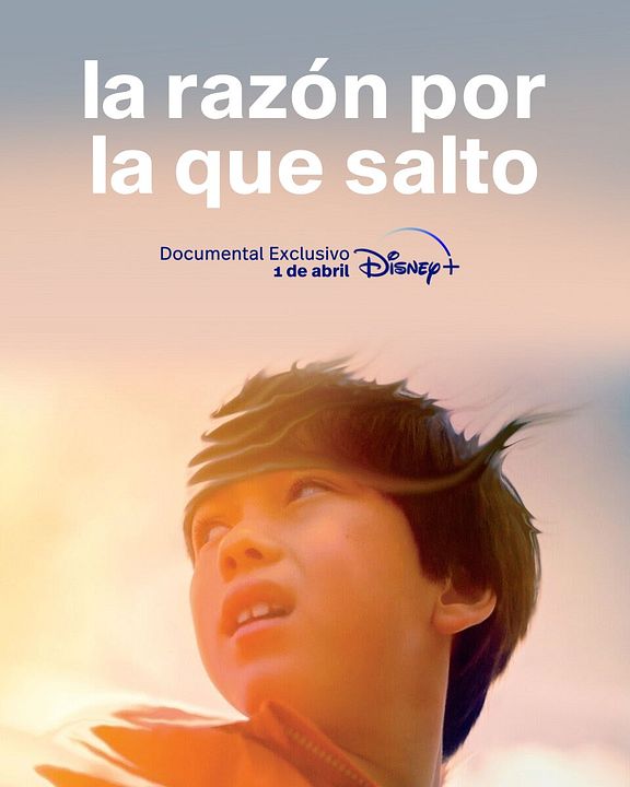 La razón por la que salto : Póster