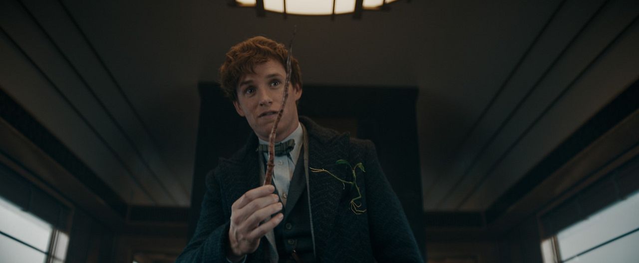 Animales Fantásticos: Los secretos de Dumbledore : Foto Eddie Redmayne