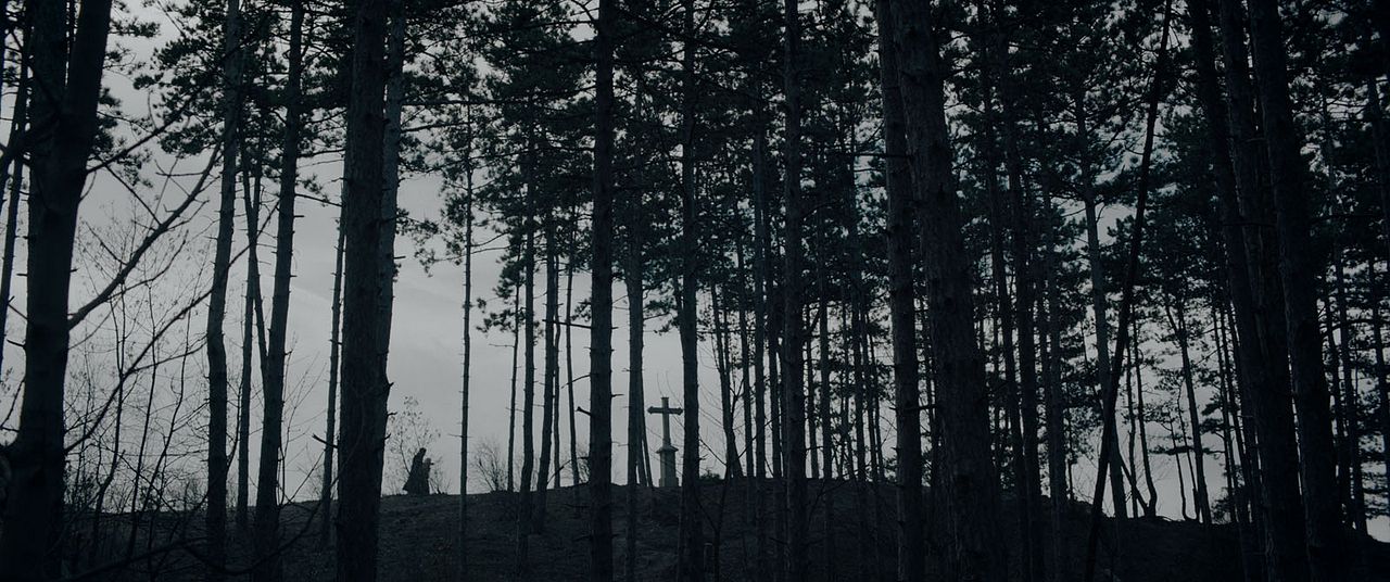 Post Mortem Fotos Del Más Allá : Foto