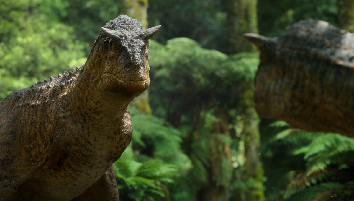 Planeta prehistórico : Foto