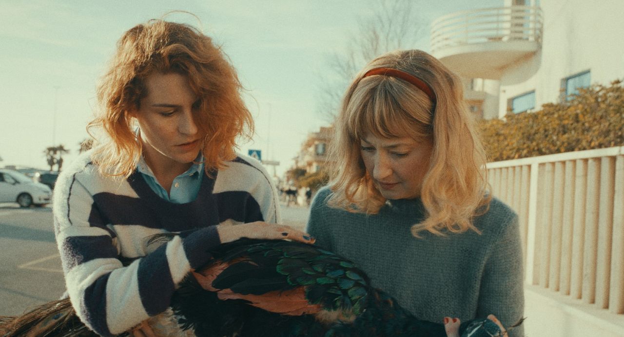 Il paradiso del pavone : Foto