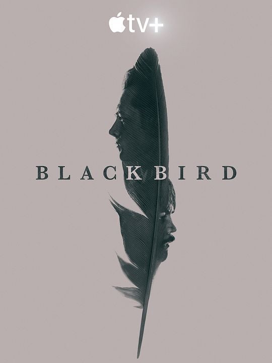 Black Bird: confesiones de un asesino : Póster