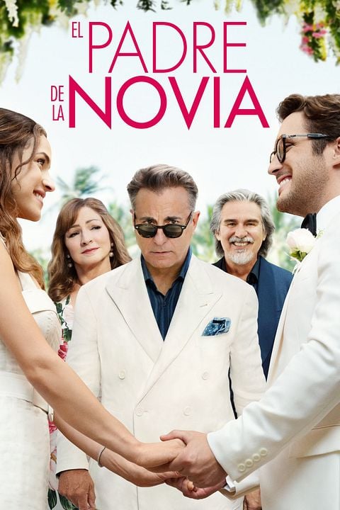 El padre de la novia : Póster