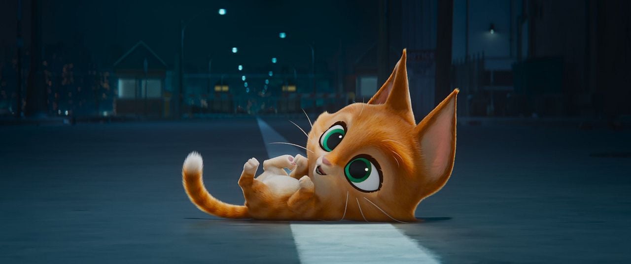 DC Liga de Súper-Mascotas : Foto