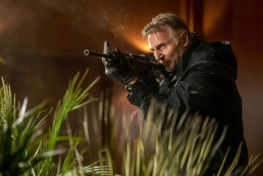 Asesino sin memoria : Foto Liam Neeson