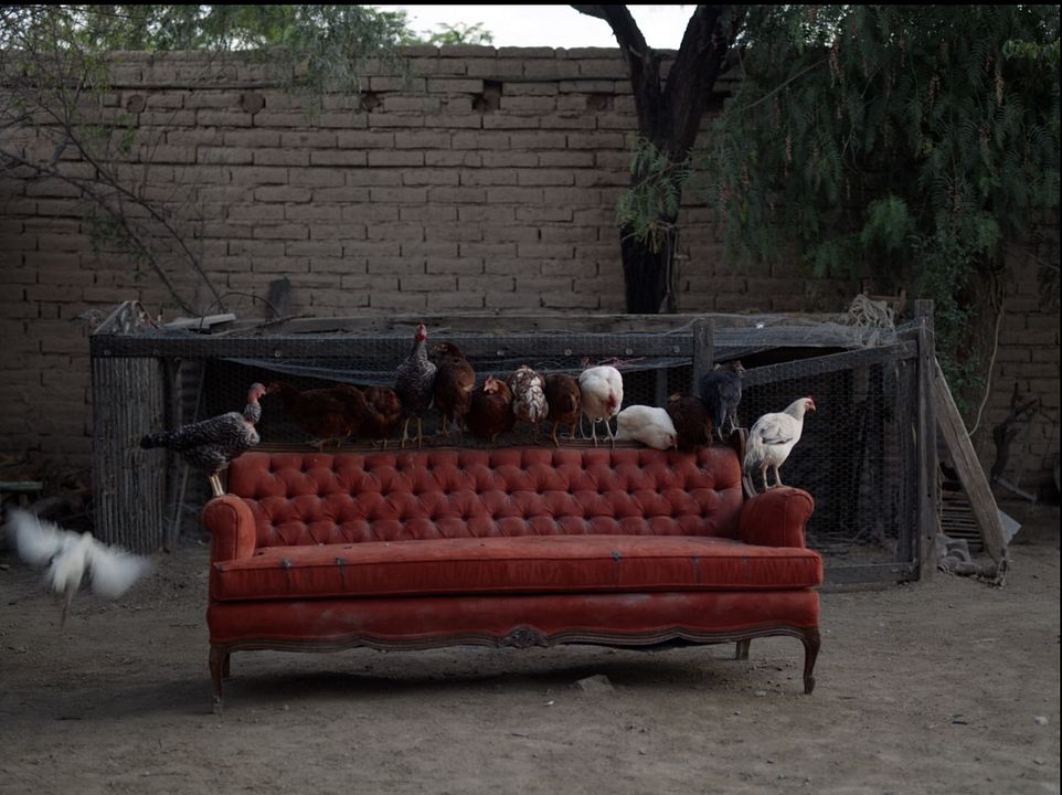 Estación catorce : Foto